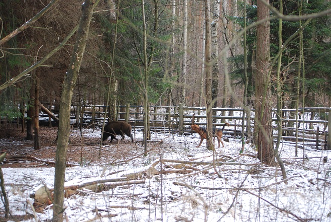 DSC_0348.JPG