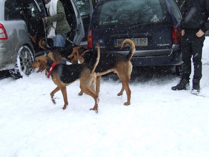 DSCF2517.JPG