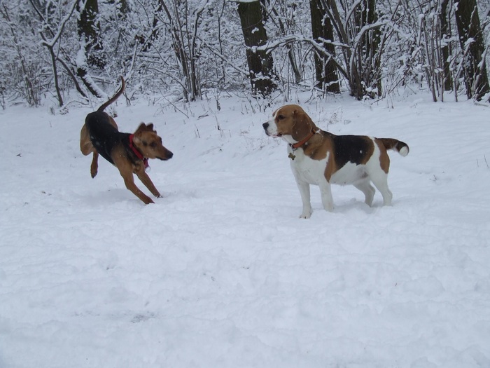 DSCF2506.JPG