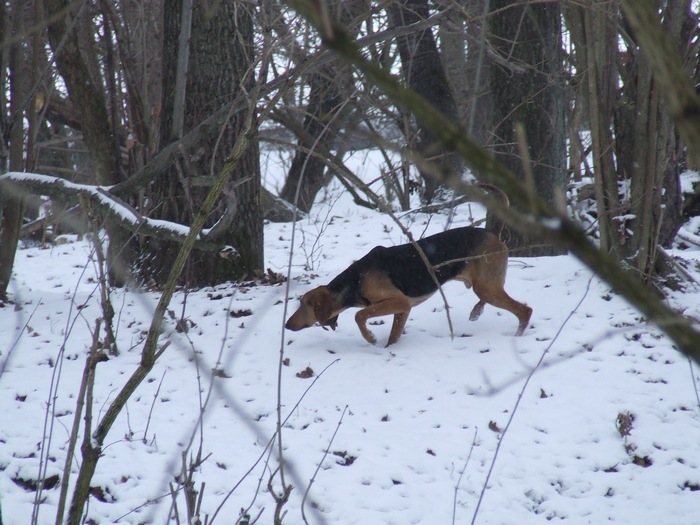 DSCF2490.JPG