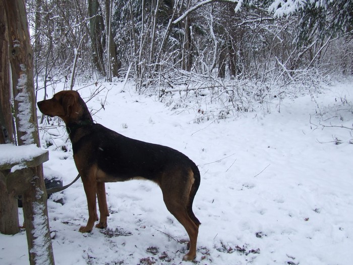 DSCF2532.JPG