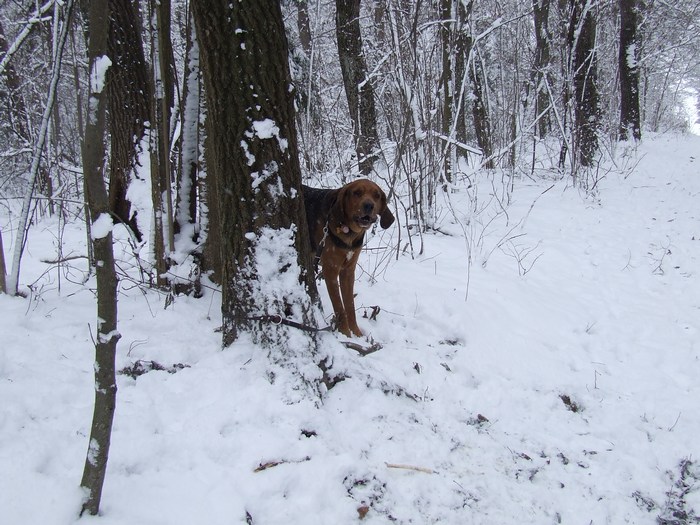 DSCF2531.JPG