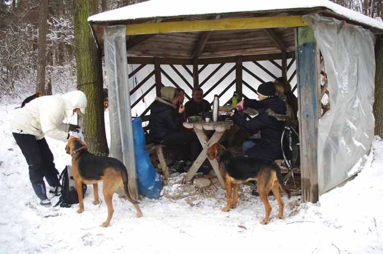 ISKRAwPOKRZEPIALNI.jpg