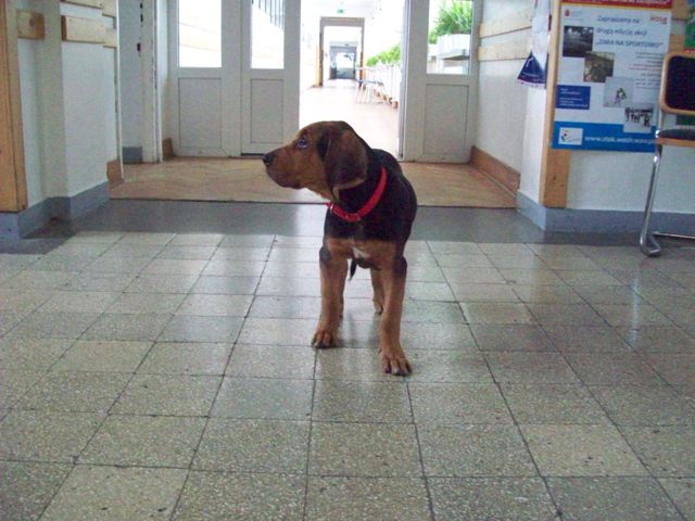 100_1126.JPG