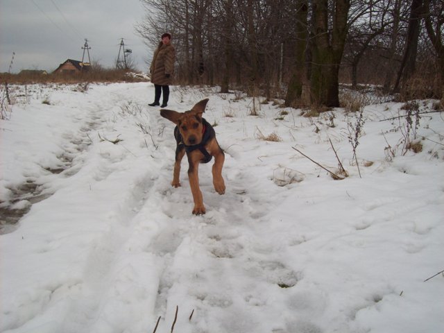 100_1145.JPG