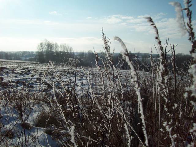 100_1195.JPG