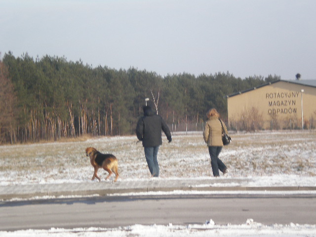 Odchodzą razem do nowego domu :D