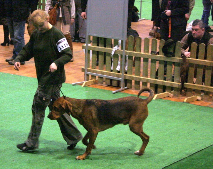 IMG_3638.JPG