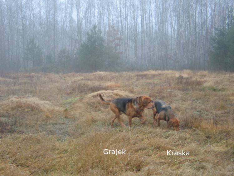 GrajekiKraska246_4633.jpg