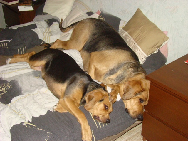 DSC07513.JPG
