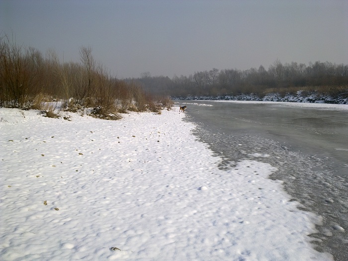 Ci, którzy nie widzieli, teraz już pewnie zauważyli.