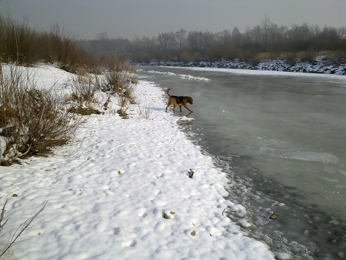 Eeeee... Co z tą wodą