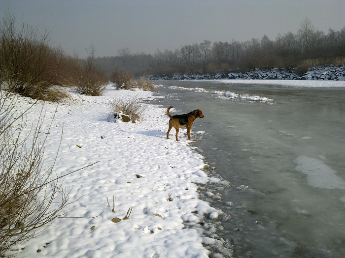 Dziwaczna.