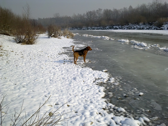 Pod tą skorupą coś się rusza!