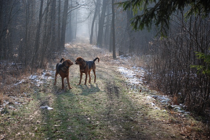 DSC_0462.JPG