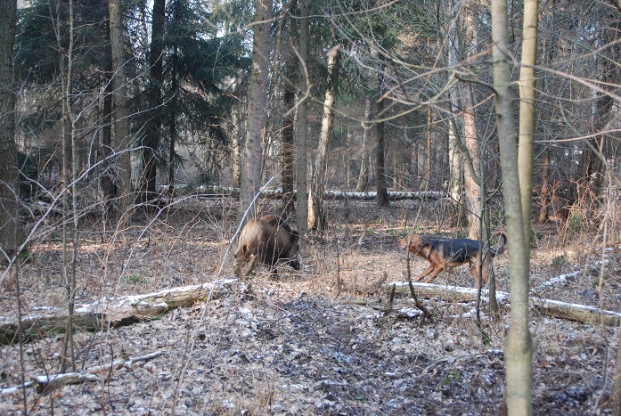 DSC_0545.JPG