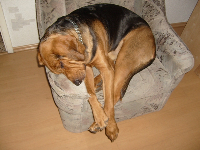 S7300872.JPG