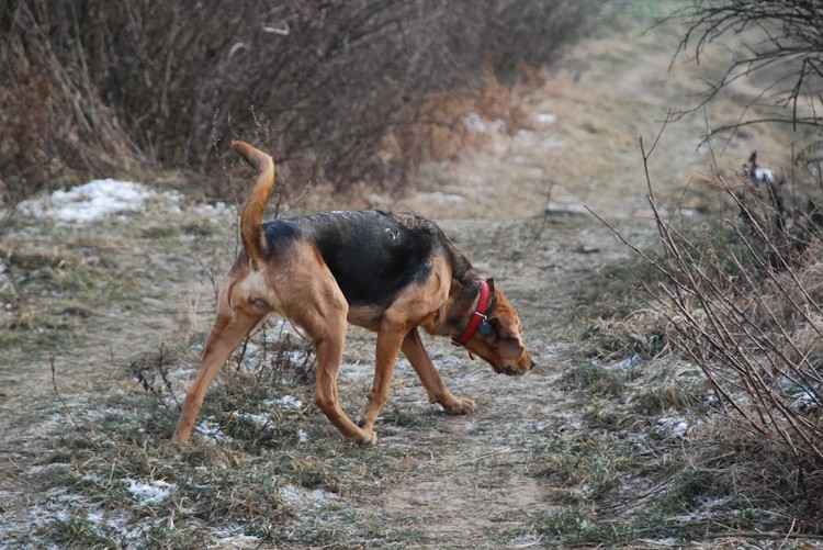 spacer - luty4 (59 of 110).jpg