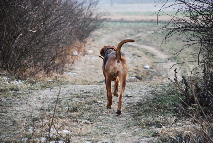 spacer - luty4 (60 of 110).jpg