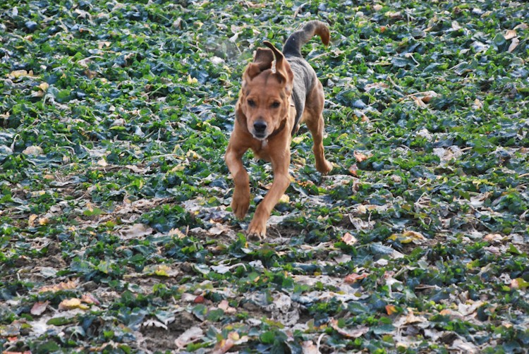 spacer - luty4 (63 of 110).jpg