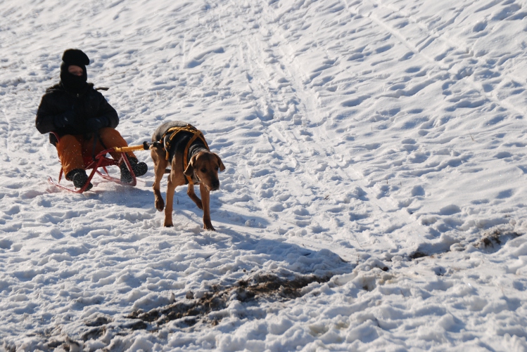 DSC_0261.JPG