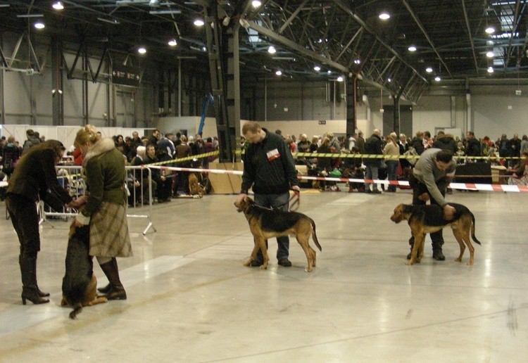 Gniewko, Hejnał, Wicher