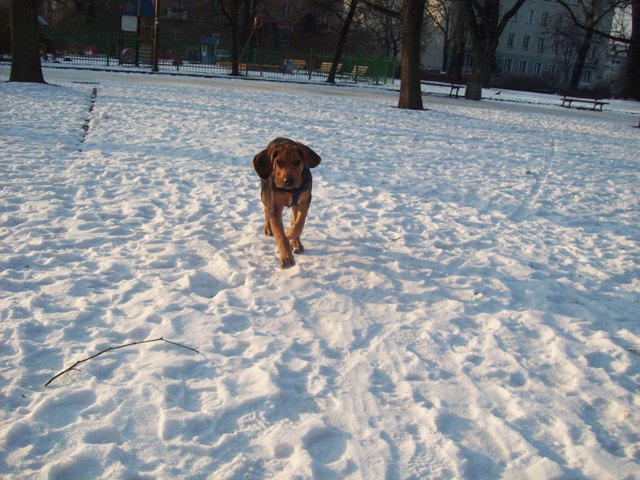 100_1300.JPG