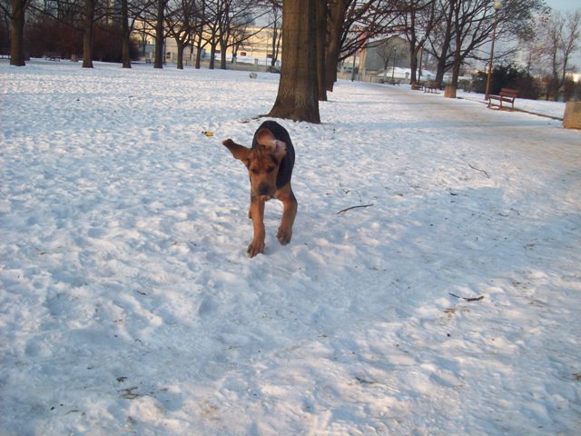 100_1304.JPG