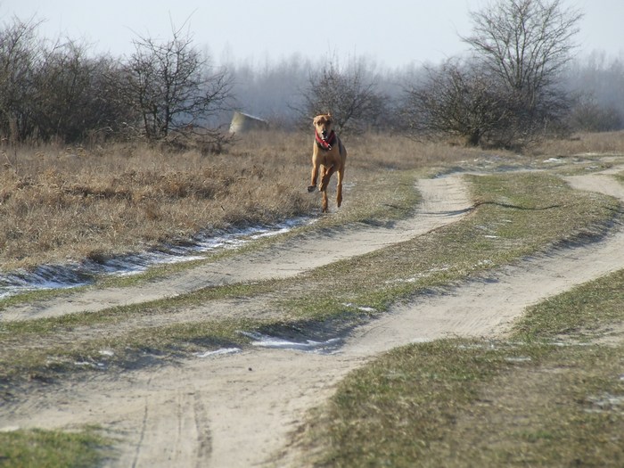 DSCF2575.JPG