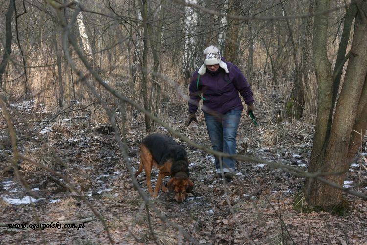 Każdy ogar powinien być choć raz w zagrodzie.