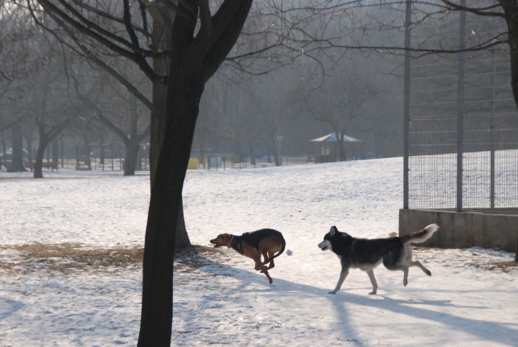 DSC_0022.JPG