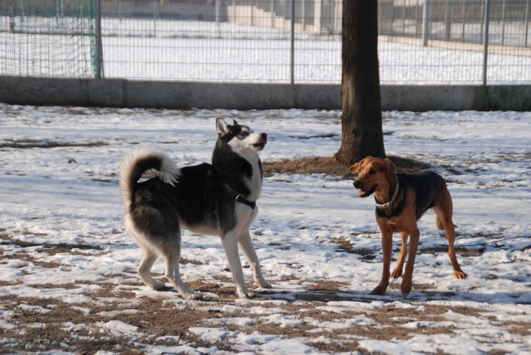 DSC_0025.JPG