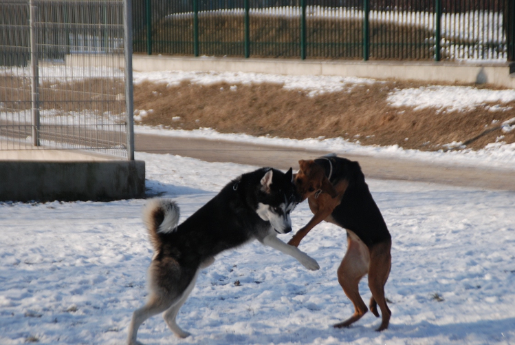 DSC_0024.JPG