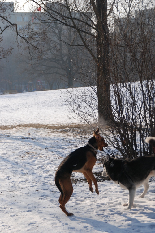 DSC_0026.JPG