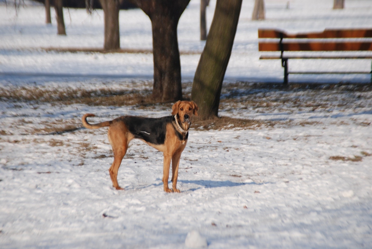 DSC_0019.JPG