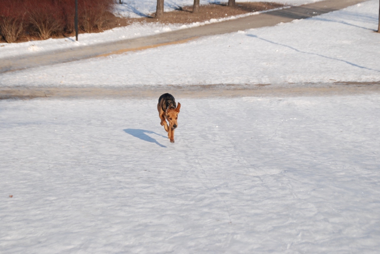 DSC_0009.JPG