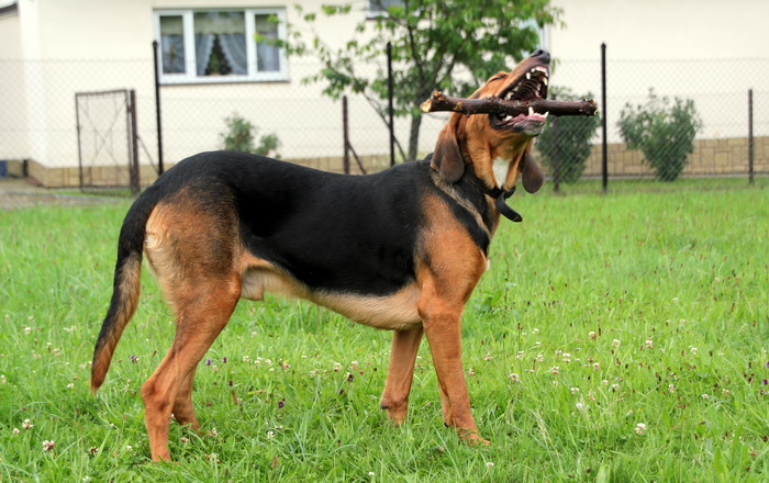 IMG_6746_zmień nazwę.JPG