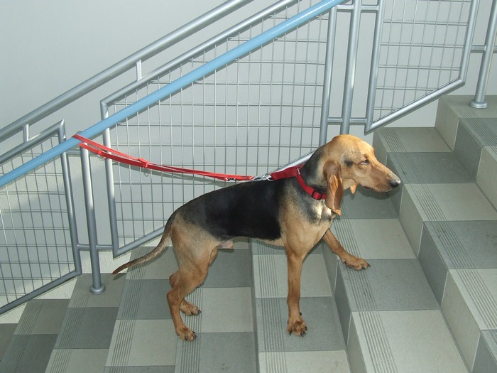 DSCF2745.JPG