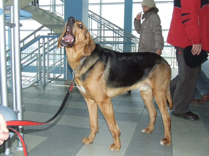 DSCF2742.JPG