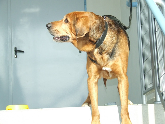 DSCF2734.JPG