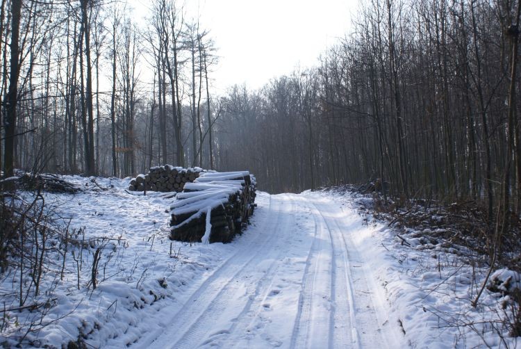 Zima 2012