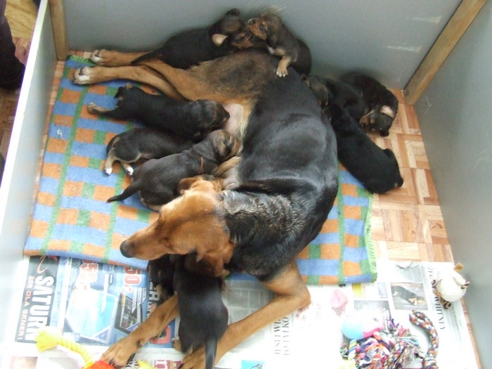 DSCF2799.JPG