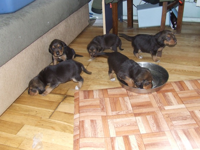 DSCF2781.JPG