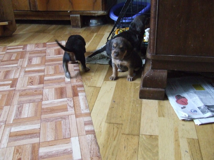 DSCF2780.JPG