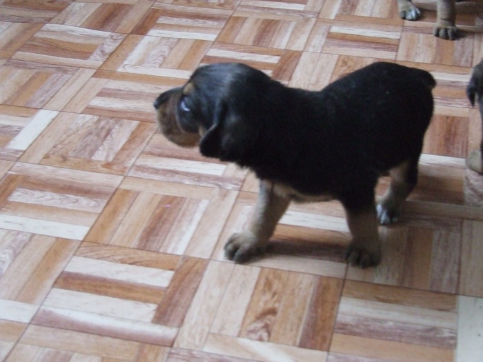 DSCF2778.JPG