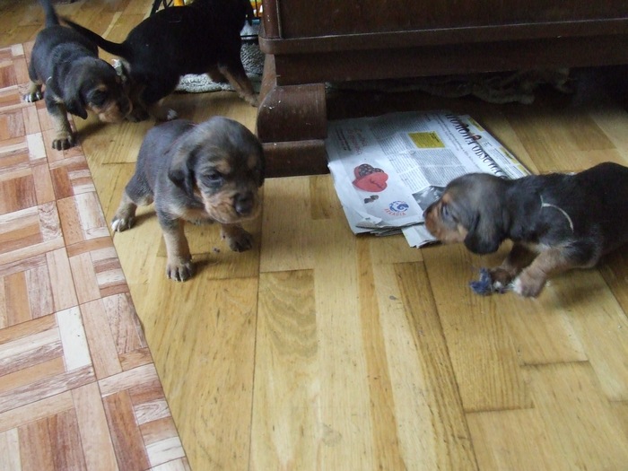 DSCF2776.JPG