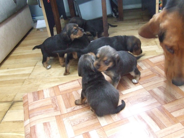 DSCF2775.JPG