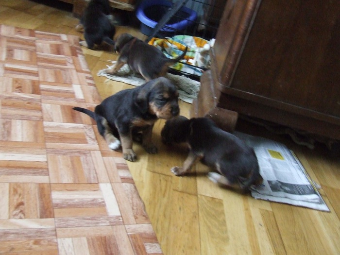 DSCF2770.JPG