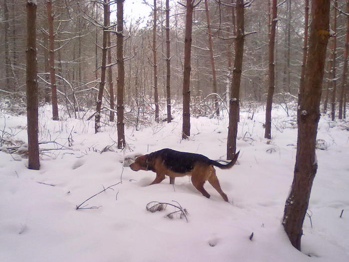 201202171818.jpg