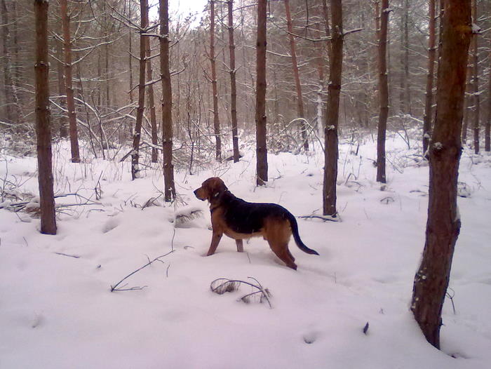 201202171819.jpg